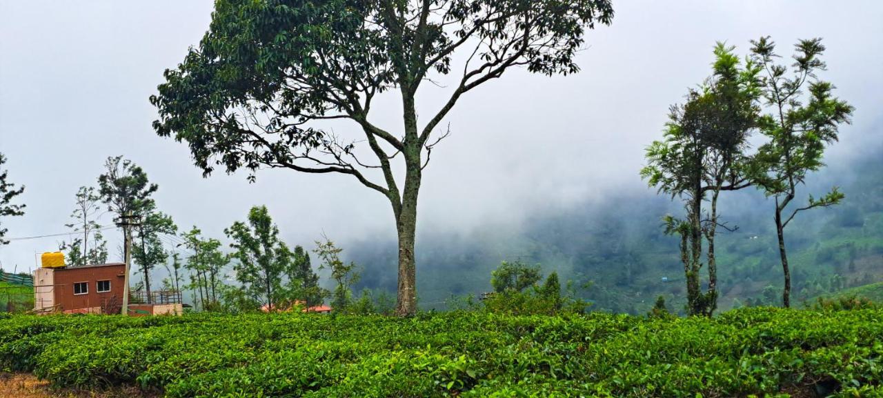 Ghar - Homestay, Where Family Lives Together Aravankādu Exterior foto