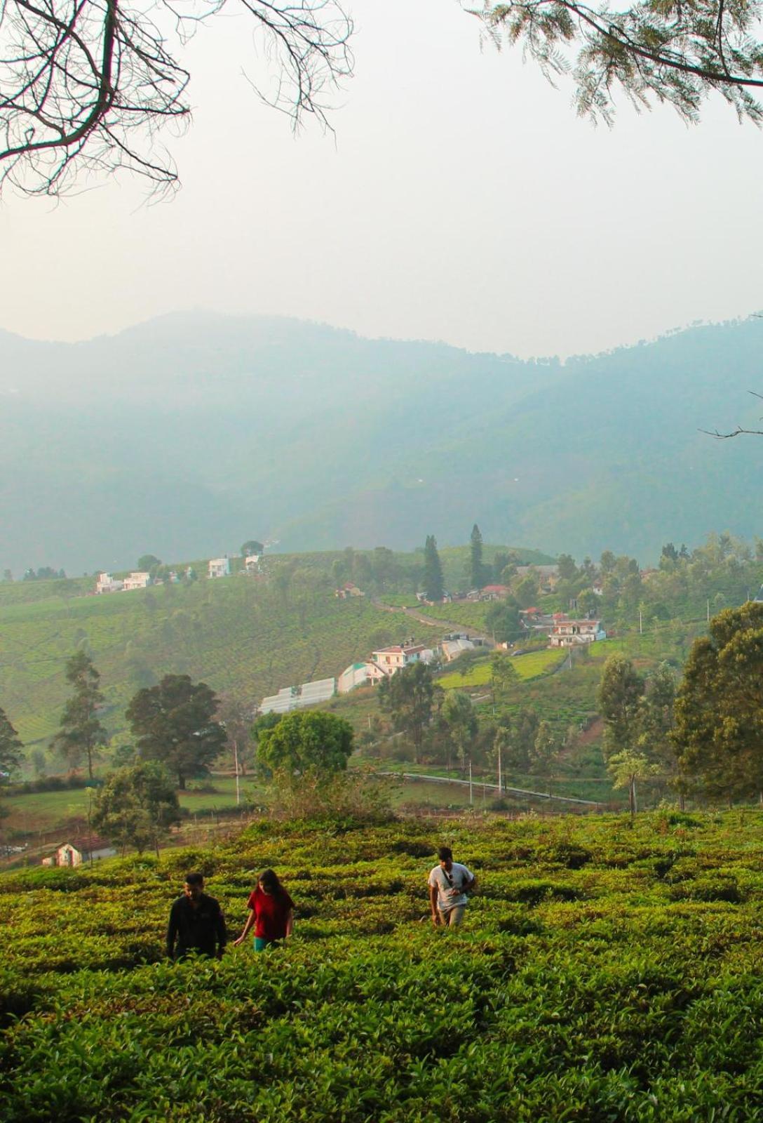 Ghar - Homestay, Where Family Lives Together Aravankādu Exterior foto